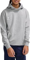 Hummel Hanorac cu gluga Hummel HMLGO 2.0 HOODIE KIDS 224834-2006 Marime 164