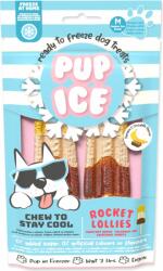 PUP_ICE Gustare Pup Ice răcoritoare cu banană și carob 2 buc 90g (764-00003)