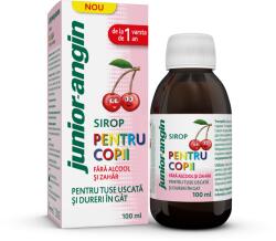 Klosterfrau Health Group Sirop pentru copii Junior Angin, 100 ml, Klosterfrau