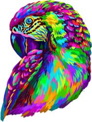 Fa puzzle-Pappagallo/S