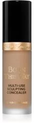 Too Faced Cosmetics Born This Way Super Coverage Multi-Use Concealer tartós korrektor a teljes fedésre árnyalat Cookie 13, 5 ml