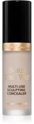 Too Faced Cosmetics Born This Way Super Coverage Multi-Use Concealer tartós korrektor a teljes fedésre árnyalat Cloud 13, 5 ml