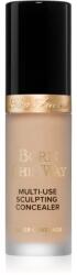 Too Faced Cosmetics Born This Way Super Coverage Multi-Use Concealer tartós korrektor a teljes fedésre árnyalat Vanilla 13, 5 ml