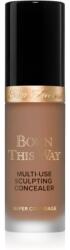 Too Faced Cosmetics Born This Way Super Coverage Multi-Use Concealer tartós korrektor a teljes fedésre árnyalat Chestnut 13, 5 ml