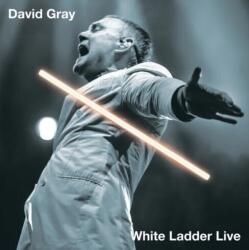 David Gray - White Ladder Live (2 LP) (0840381600013)