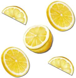  Nyomtatott dekorkarton- citrom csomag 5db/csomag