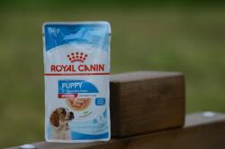 Royal Canin CSOMAGAJÁNLAT (9+1) Royal Canin Medium Puppy alutasakos 10x140g