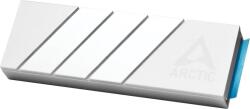 ARCTIC M2 Pro (Silver) (ACOTH00002A)