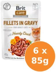 Brit Care Cat alutasak kacsa szószban 6x85g