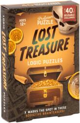 Professor Puzzle Lost Treasure logikai játék (PUZ11586)