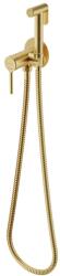 Excellent Pi bidé csaptelep zuhany készlettel süllyesztett arany AREX. 1204GB (AREX1204GB)