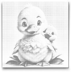  PontPöttyöző - Kacsa kiskacsával Méret: 50x50cm, Keretezés: Kerek keret, Szín: Fekete