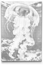  PontPöttyöző - Medúza a tengerben Méret: 40x60cm, Keretezés: Műanyagtáblával, Szín: Fekete