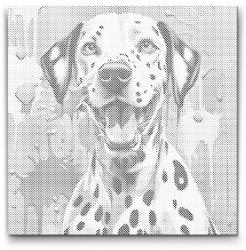 PontPöttyöző - Színes dalmata Méret: 50x50cm, Keretezés: Kerek keret, Szín: Zöld