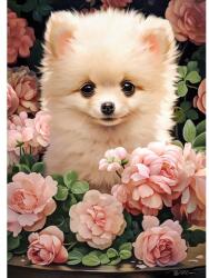 Castorland 300 db-os puzzle - Kiskutya rózsákkal (B-030552) (B-030552)