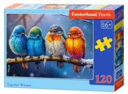 Castorland 120 db-os puzzle - Otthon melege (B-13586) (B-13586)