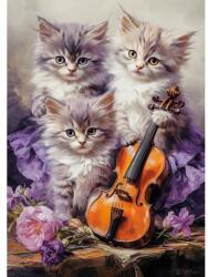 Castorland 260 db-os puzzle - Cicák gitárral (B-27613) (B-27613)