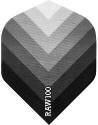 DESIGNA - Raw 100 Arrow Fekete - 100 Mikron - Darts Toll (f1881)