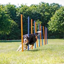 TRIXIE Dog Activity agility szlalom szett (12 rúd; Magasság: 115 cm; Átmérő: 3 cm)