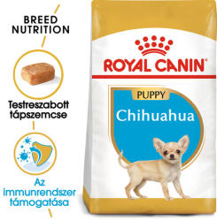 Royal Canin Chuhuahua Junior - Csivava kölyök kutya száraz táp 500g