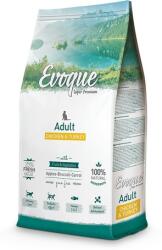 Evoque Cat Adult Chicken & Turkey with Fruits & Vegetables (2 x 8 kg) 16kg