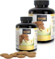 BELCANDO Vital tabletta (2 x 120 db) 240 db