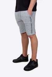 Alpha Industries pantaloni scurți Al Sweat bărbați, culoarea gri 116365.17-grey 99KK-SZM06G_90X