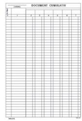 Viamond Document Cumulativ Vertical A4 (180605)