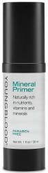 Youngblood Основа за грим за зряла кожа Youngblood Mineral Primer (20601)