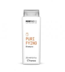 Framesi Шампоан против пърхот и чувствителен скалп Framesi Morphosis Purifying Shampoo 250мл