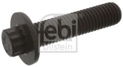 Febi Bilstein Surub FEBI BILSTEIN 43413