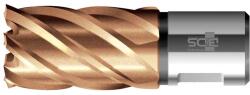 BDS Maschinen - Carota HSS, VARIOPlus, KBK, prindere Weldon, 31mm, adancime 30mm [KBK-VP031] (KBK-VP031)