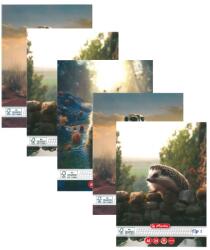 Herlitz Set 5 caiete Tip 1 Herlitz, 24 file, 80g/mp, Motiv funny wildlife (9495210-5)