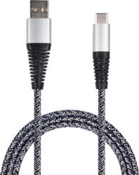 2GO 795953 USB Type-C 3.1, 1m, Argintiu (795953)