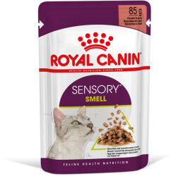 Royal Canin Royal Canin Sensory Smell în sos - 24 x 85 g