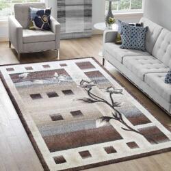 Szőnyeg Dy. Otto 02 barna 160 x 220 cm (OTTO-02-BROW-160X220)
