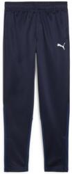 PUMA Pantaloni Puma teamGOAL Training Pant Jr 658641-06 Marime 152 (658641-06)