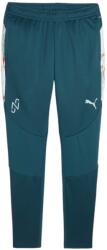 PUMA Pantaloni Puma x NEYMAR JR Creativity Football Training Pants 658951-13 Marime XL (658951-13)