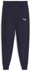 PUMA Pantaloni Puma teamGOAL Casuals Pants Jr 658601-06 Marime 140 (658601-06)