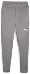 PUMA Pantaloni Puma teamFINAL Training Pants 658563-13 Marime S (658563-13)