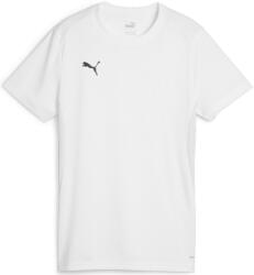 PUMA Bluza Puma teamGOAL Jersey W 658638-04 Marime XL (658638-04)