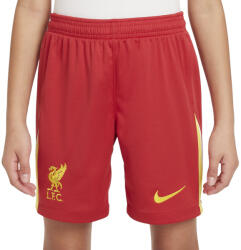 Nike Sorturi Nike LFC Y NK DF SHORT STAD HM 2024/25 fn9190-687 Marime L (147-158 cm) (fn9190-687)