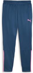 PUMA Pantaloni Puma teamLIGA Training Pants 657242-56 Marime M (657242-56)