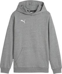 PUMA Hanorac cu gluga Puma teamGOAL Casuals Hoody Kids 658619-33 Marime 128 (658619-33)