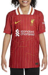 Nike Bluza Nike LFC Y NK DFADV MATCH JSY SS HM 2024/25 fn9066-688 Marime XL (158-170 cm) (fn9066-688)