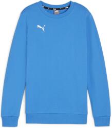 PUMA Hanorac Puma teamGOAL Casuals Crew Neck Sweat Jr 658593-02 Marime 164 (658593-02)