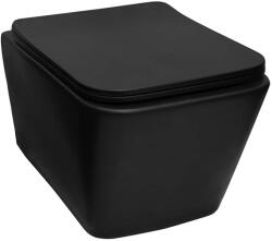  Set vas WC suspendat Fluminia Tornado Flush cu capac soft close negru mat (M205MB?)