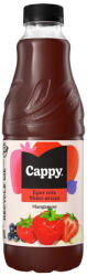 Cappy Eper Mix 34% 1.0l PET 6/# DRS