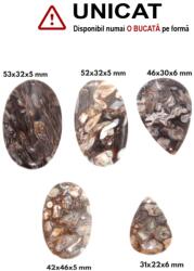  Pandantiv Fosil Lemn Oval - Picatura cu Gaura - 31-53 x 22-46 x 5-6 mm - 1 Buc