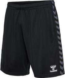 Hummel Sorturi Hummel HMLAUTHENTIC PL SHORTS KIDS 219971-2001 Marime 116